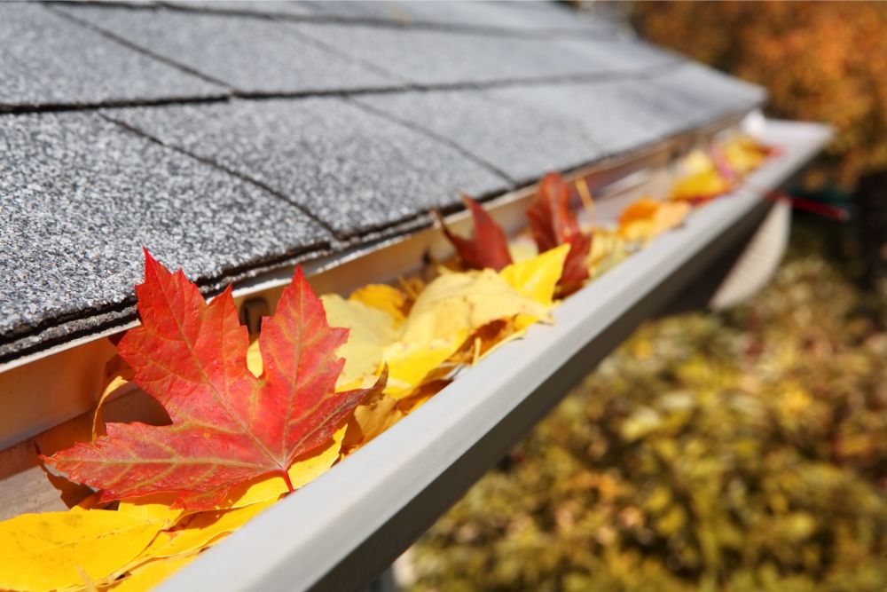 Fall Home Maintenance