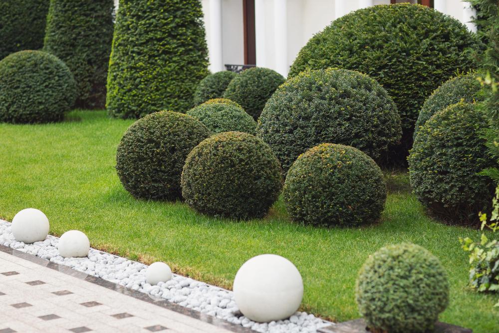 do gardens increase property value