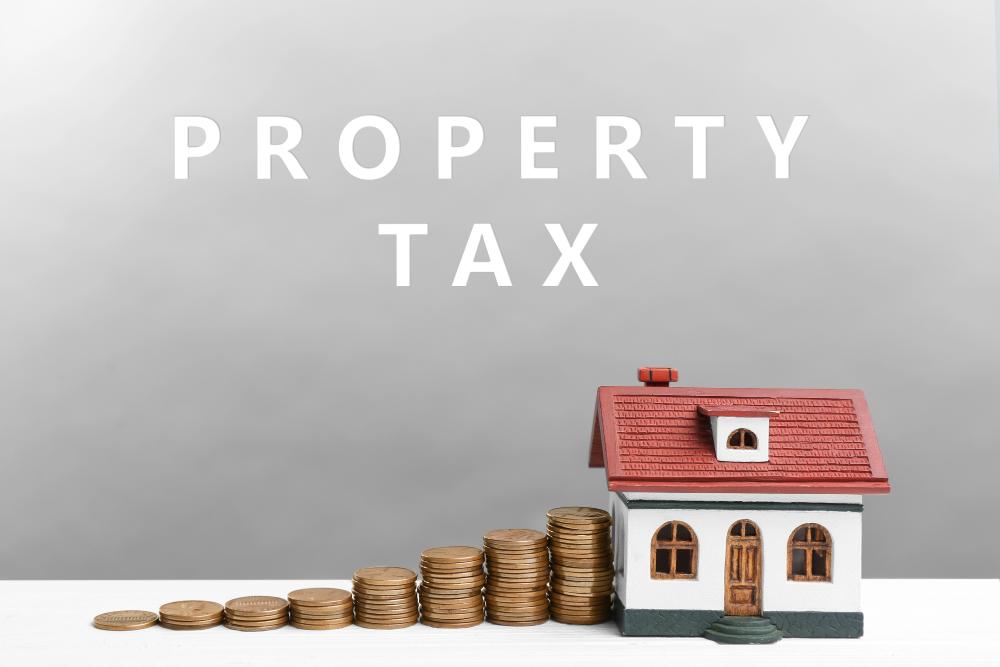 how to lower property taxes in NJ