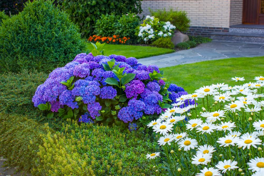 landscaping that increases property value