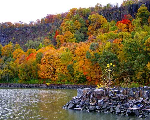 Bergen County Parks That We Love