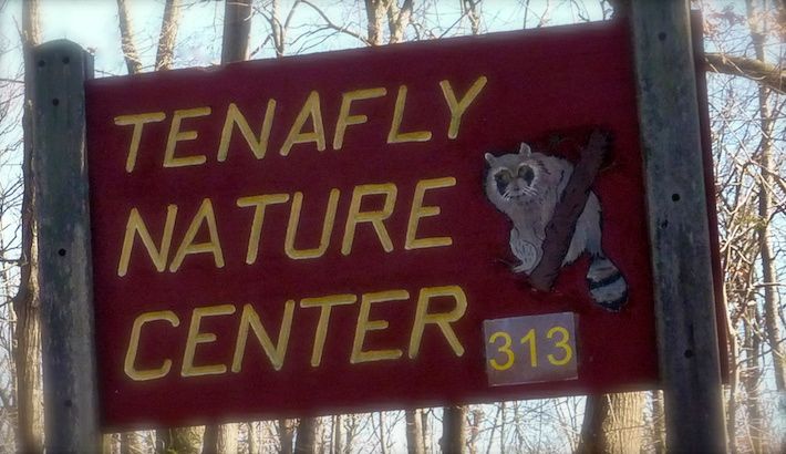 Local Nature Preserve Offers Sanctuary and Environmental Education